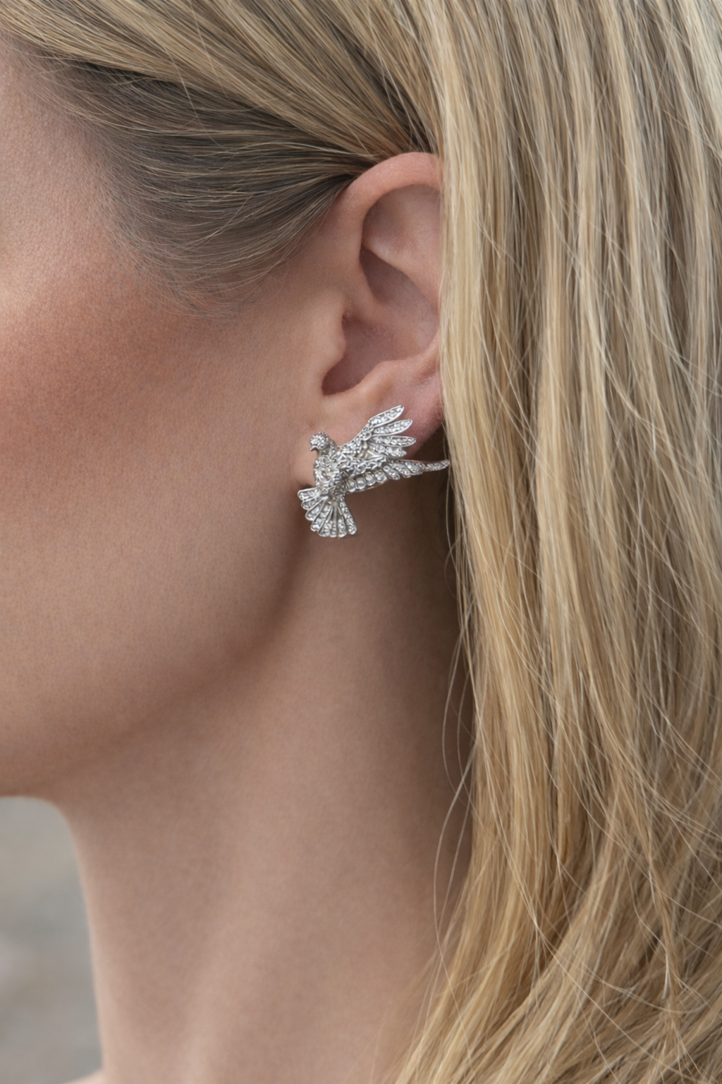 Ascent Studs - Image 2