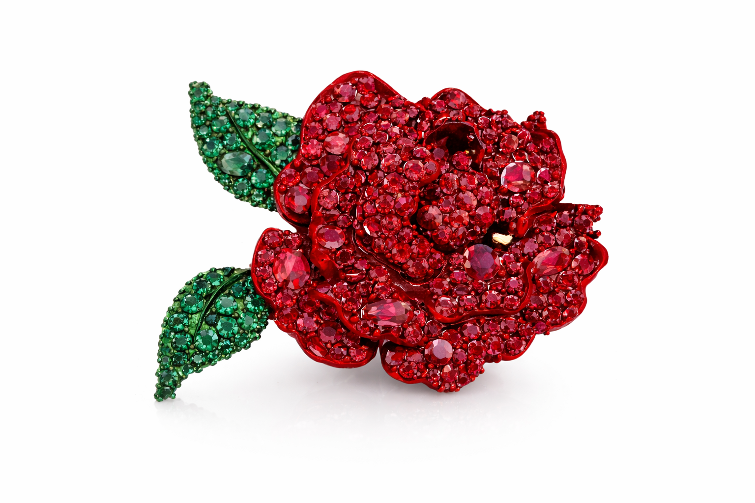 Wild Rose - Rose Jardin